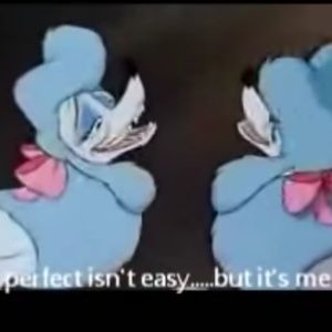 Meet your Posher, Christine